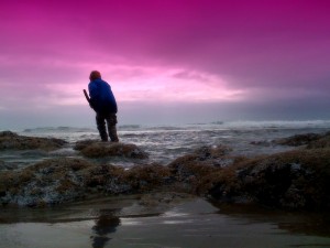 norm zarr iphone
