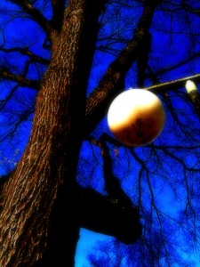 iphone camera