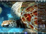photogene-for-ipad-review-best-apple-ipad-photography-app-color